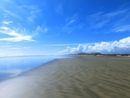 whangarei (49)
